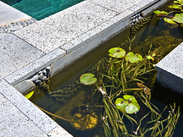 St Kilda Pool 4